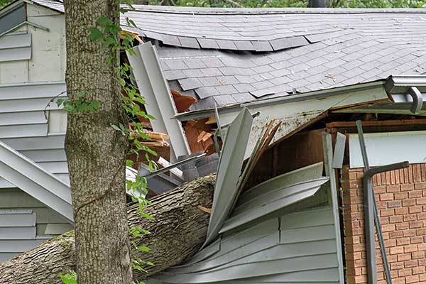 Storm Damage Restoration